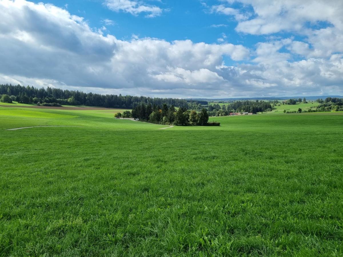 Modern Eingerichtete 3-Zi-Ferienwohnung Zu Vermieten Löffingen 外观 照片